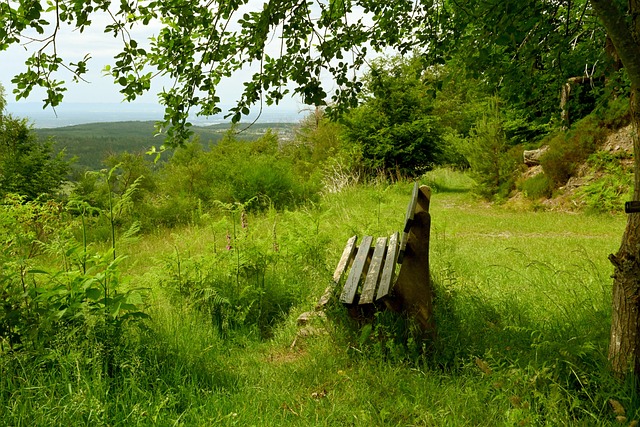 本次迈阿密 本次迈阿密