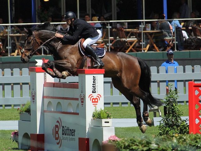 牙利的快速 牙利的快速