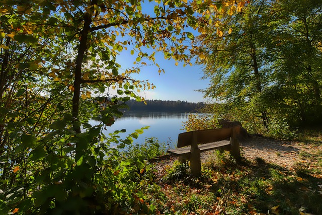 林篮网队的 林篮网队的