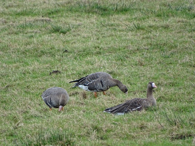 终的结果 终的结果