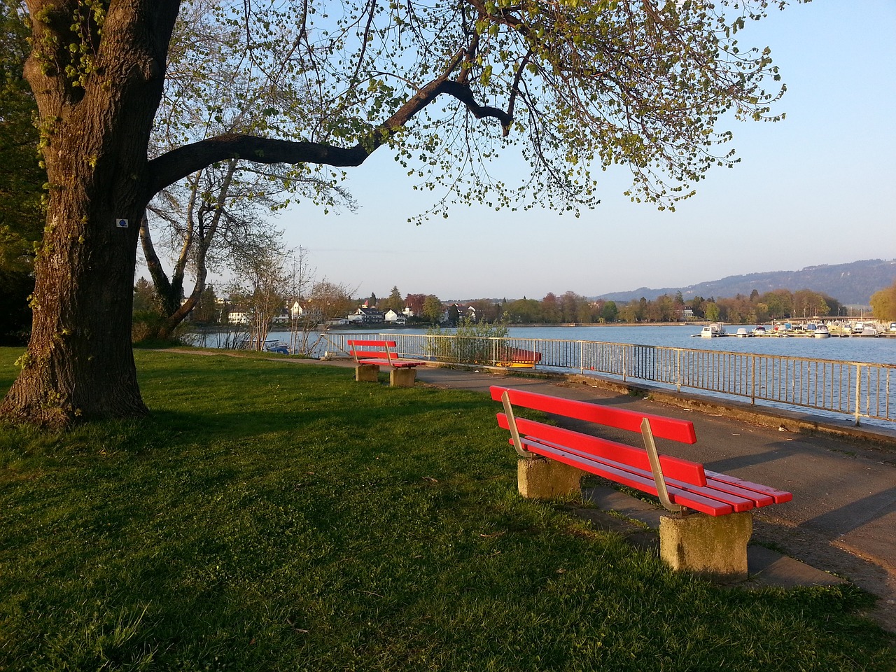 洲赛场上崭 洲赛场上崭