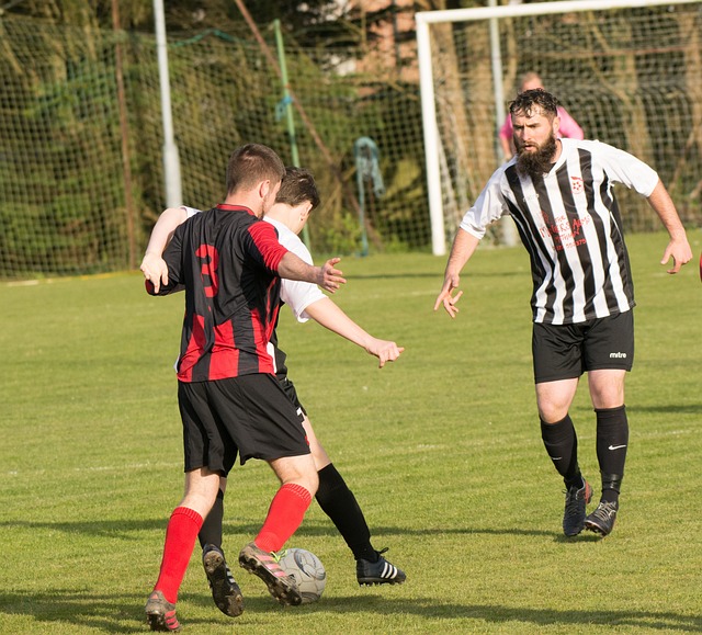 媒体上频频 媒体上频频