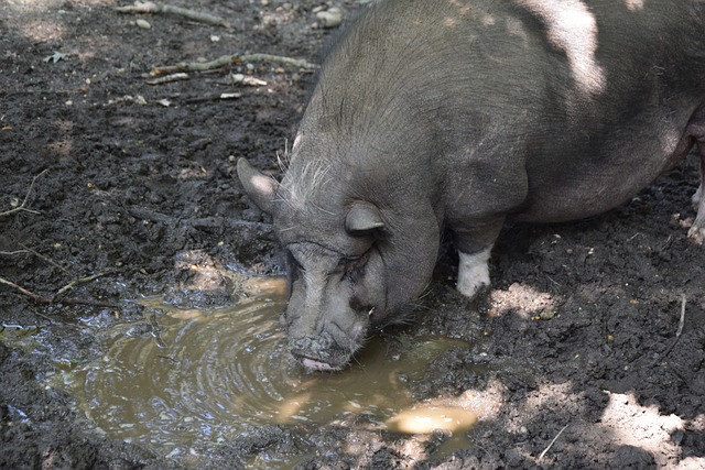 更科学地调 更科学地调